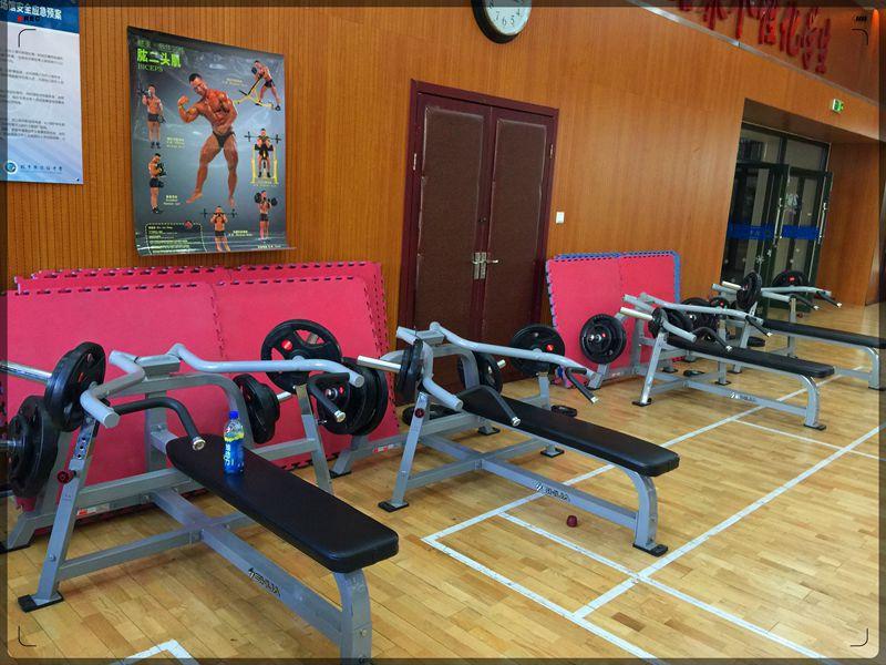 中學健身房